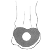 HEEL BLISTER PAD 1/4" HDF-0